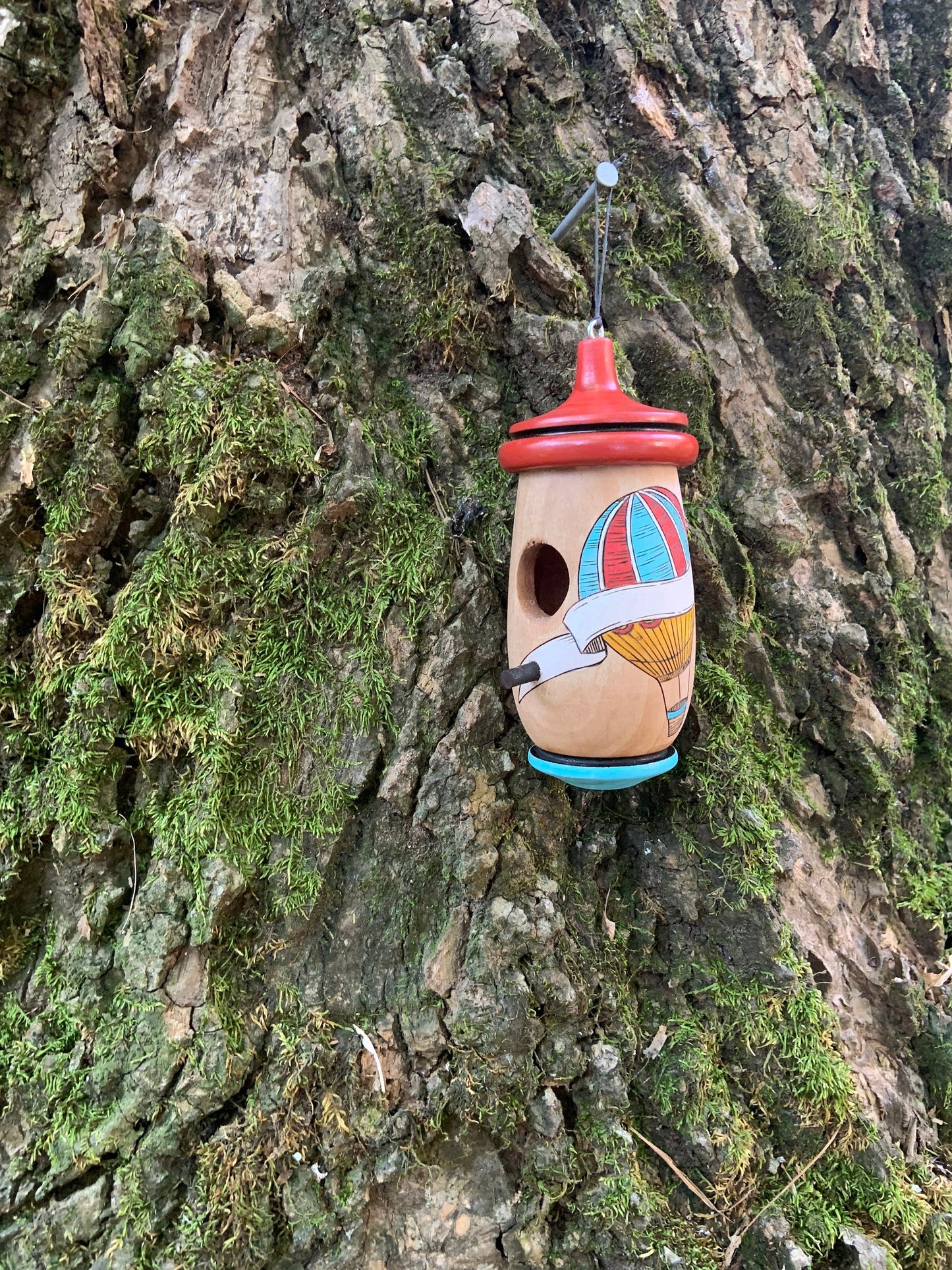 Hummingbird Bird House, Hot Air Balloon Art, Personalizable Handmade Wooden Birdhouse, Bird Lovers Gift, Thank You Gift for Friends