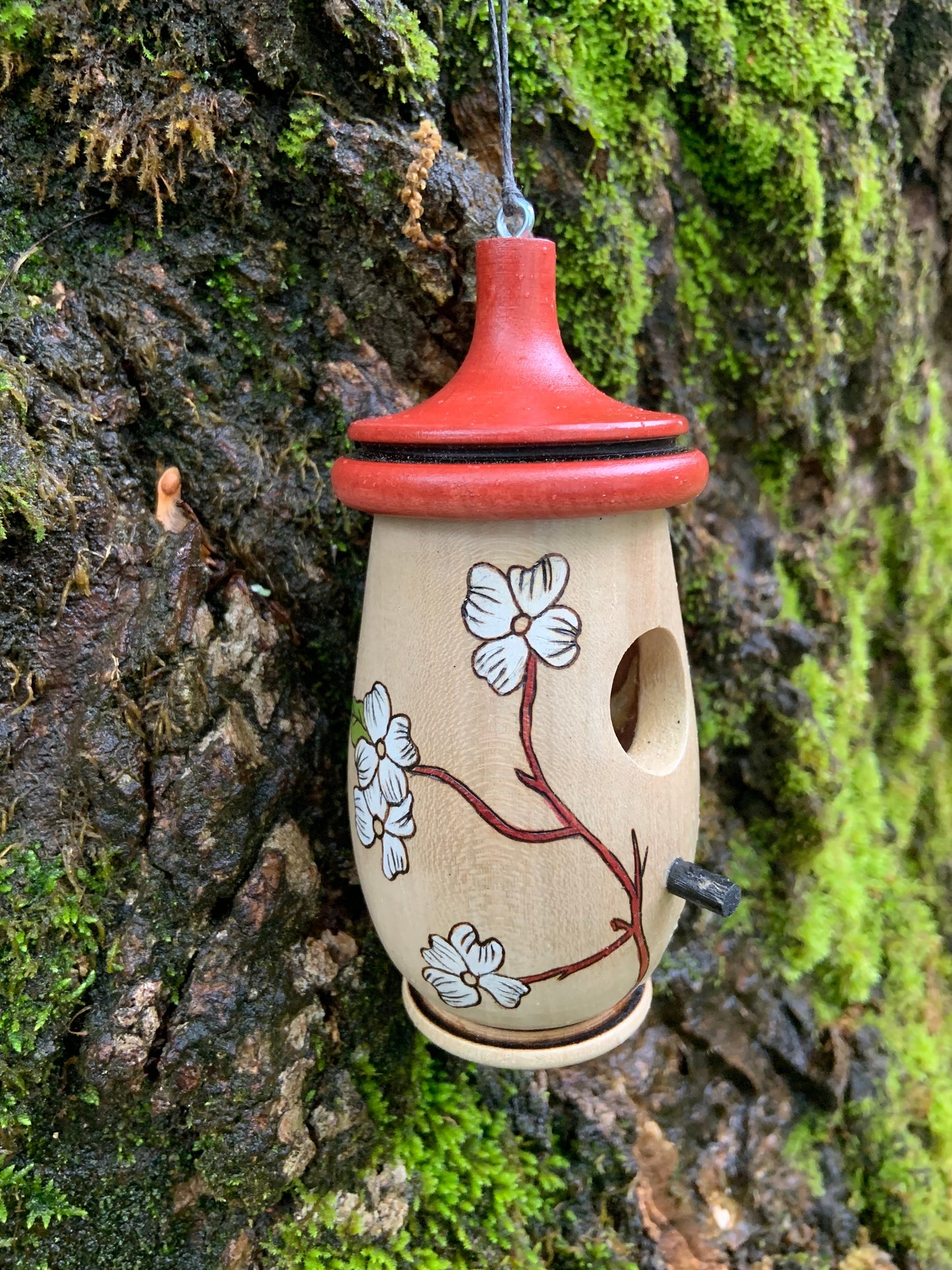 Hummingbird House, Dogwood North Carolina,Missouri State Flower Tree, Artisan Handmade Wooden Birdhouse,  Christmas Gift for Nature Lover