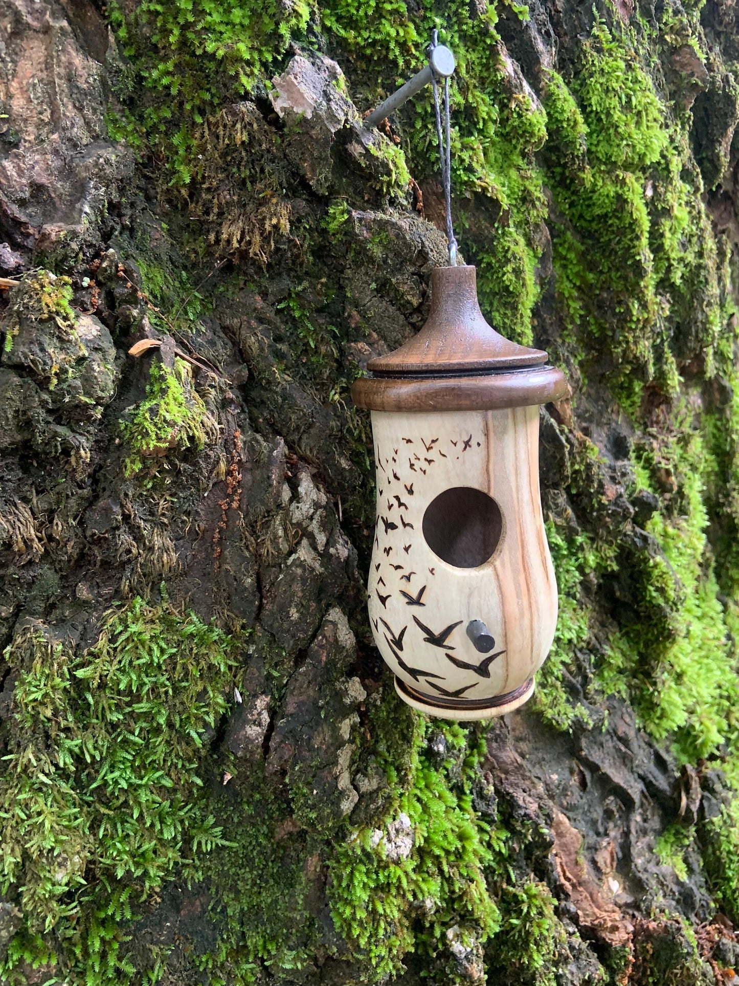 Hummingbird House, Handmade Wooden Birdhouse for Indoor/Outdoor Use, Flock of Birds Art, Bird Lovers Gift, Christmas Gift for Bird Lovers