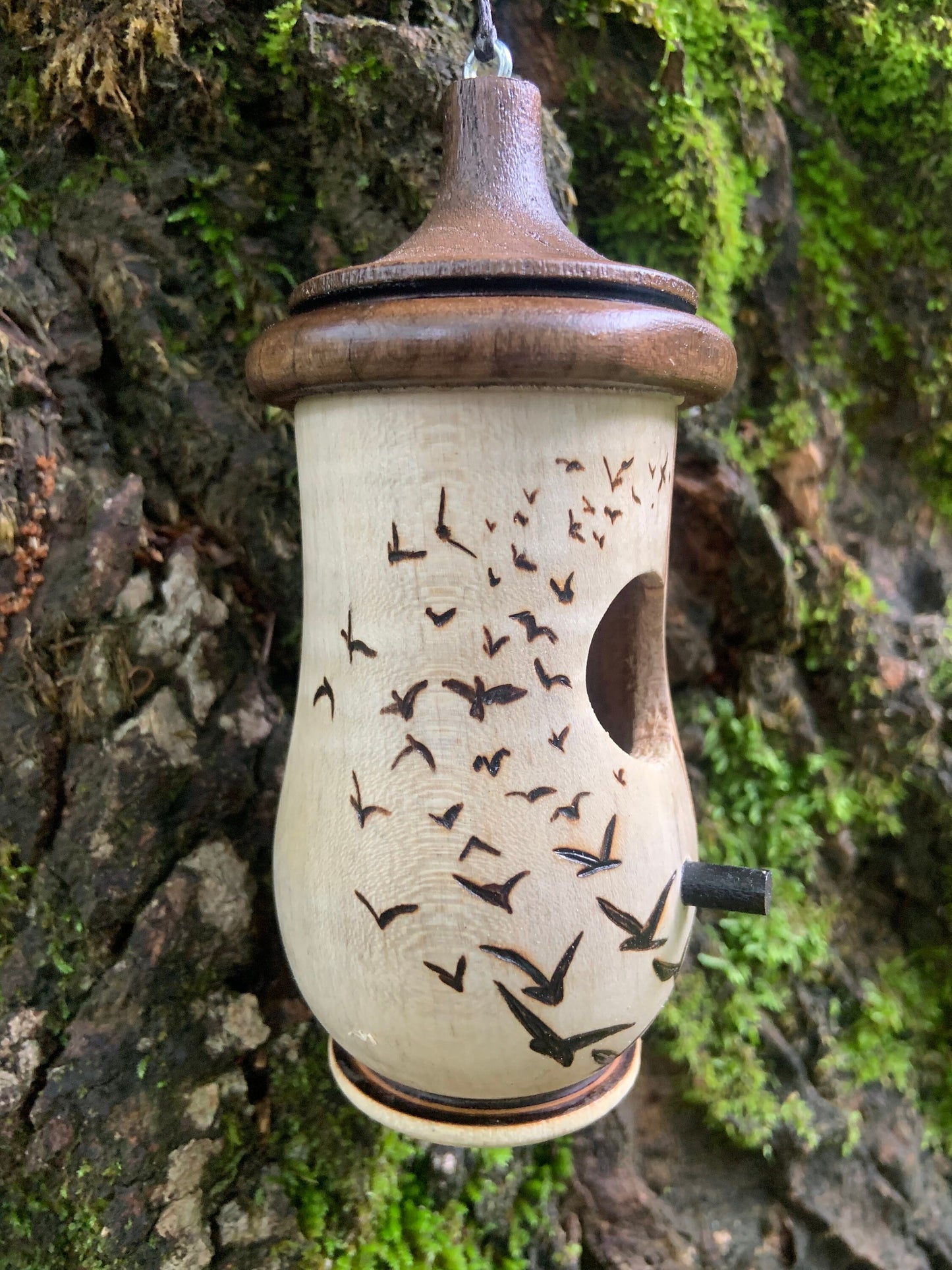 Hummingbird House, Handmade Wooden Birdhouse for Indoor/Outdoor Use, Flock of Birds Art, Bird Lovers Gift, Christmas Gift for Bird Lovers