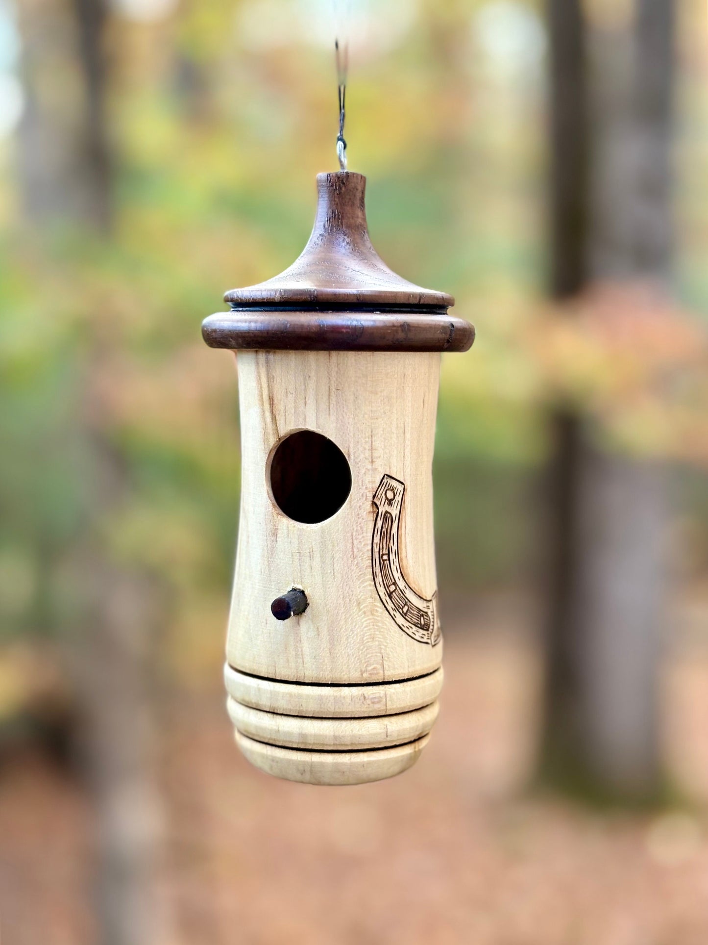 Hummingbird House, Horseshoe Art, Wooden Birdhouse for Indoor/Outdoor Use, Bird and Horse Lovers Gift, Christmas Gift for Cowgirls