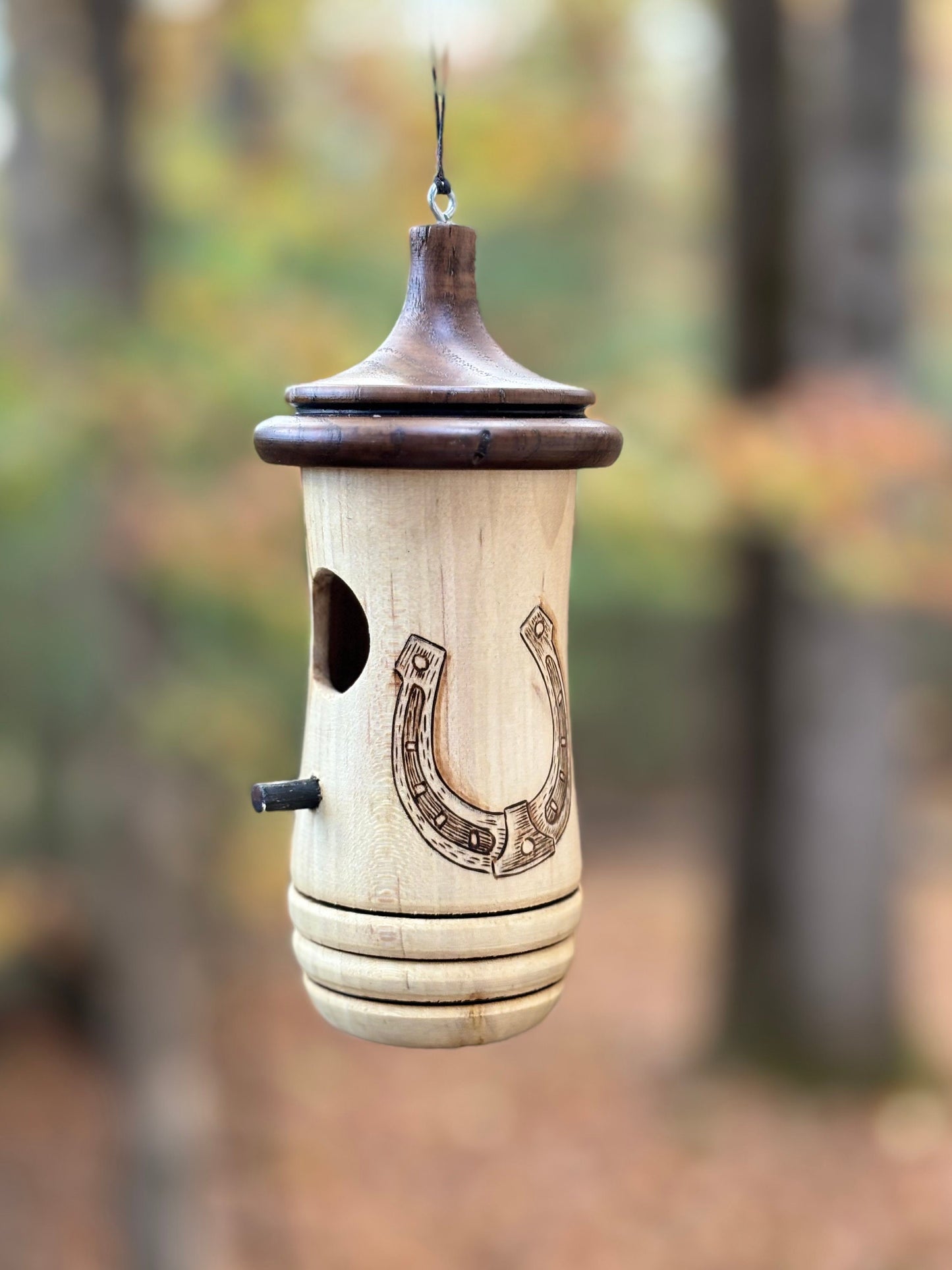 Hummingbird House, Horseshoe Art, Wooden Birdhouse for Indoor/Outdoor Use, Bird and Horse Lovers Gift, Christmas Gift for Cowgirls