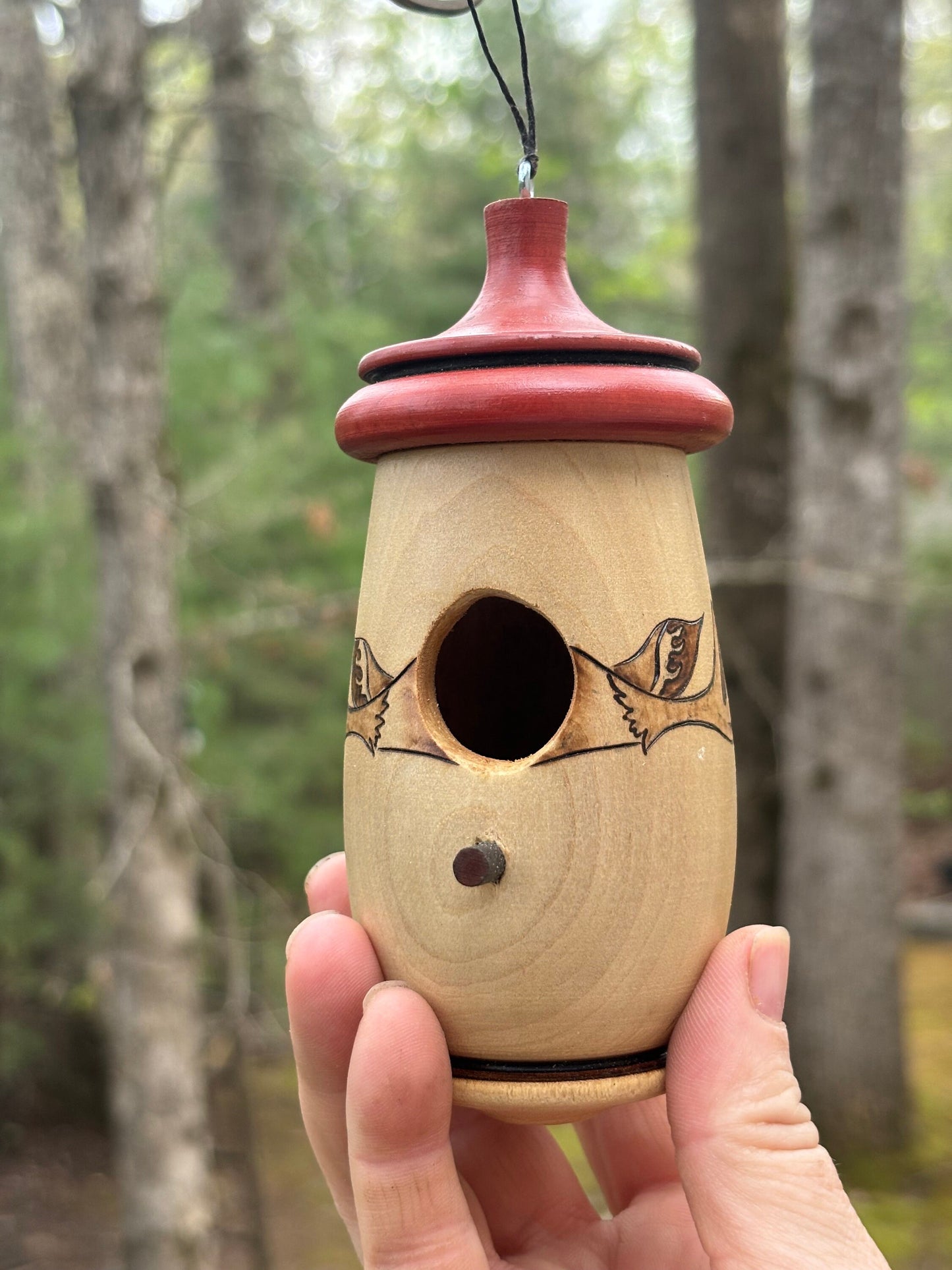 Hummingbird House, Moose Design, Wooden Birdhouse for Indoor/Outdoor Use, Mothers Day Gift for Mom and Bird Lovers, Alaska Wildlife,