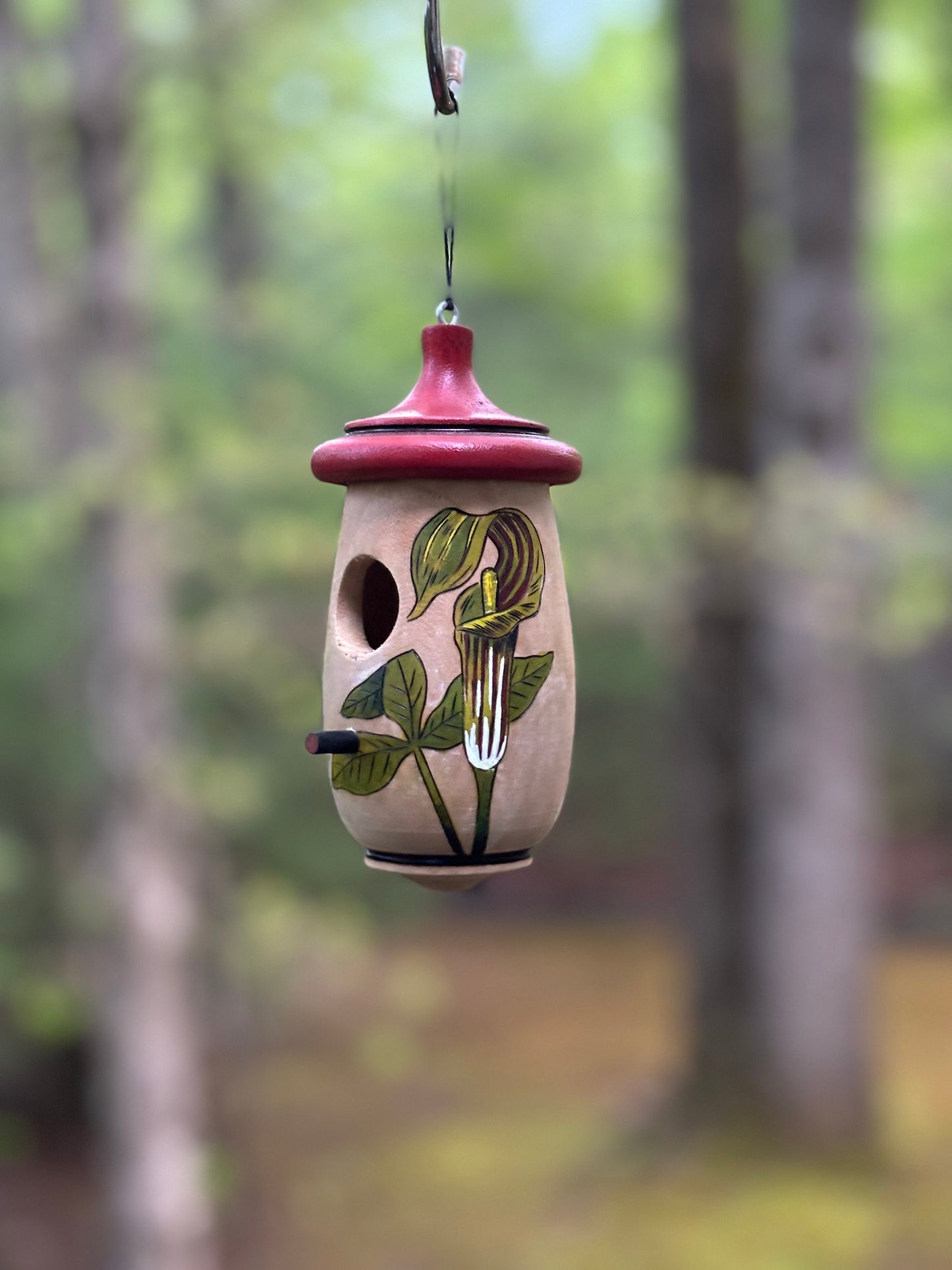 Hummingbird House, Handmade Wooden Birdhouse for Indoor/Outdoor Garden Use, Jack In The Pulpit, Native Plant, Bird Lovers Gift, wildflower