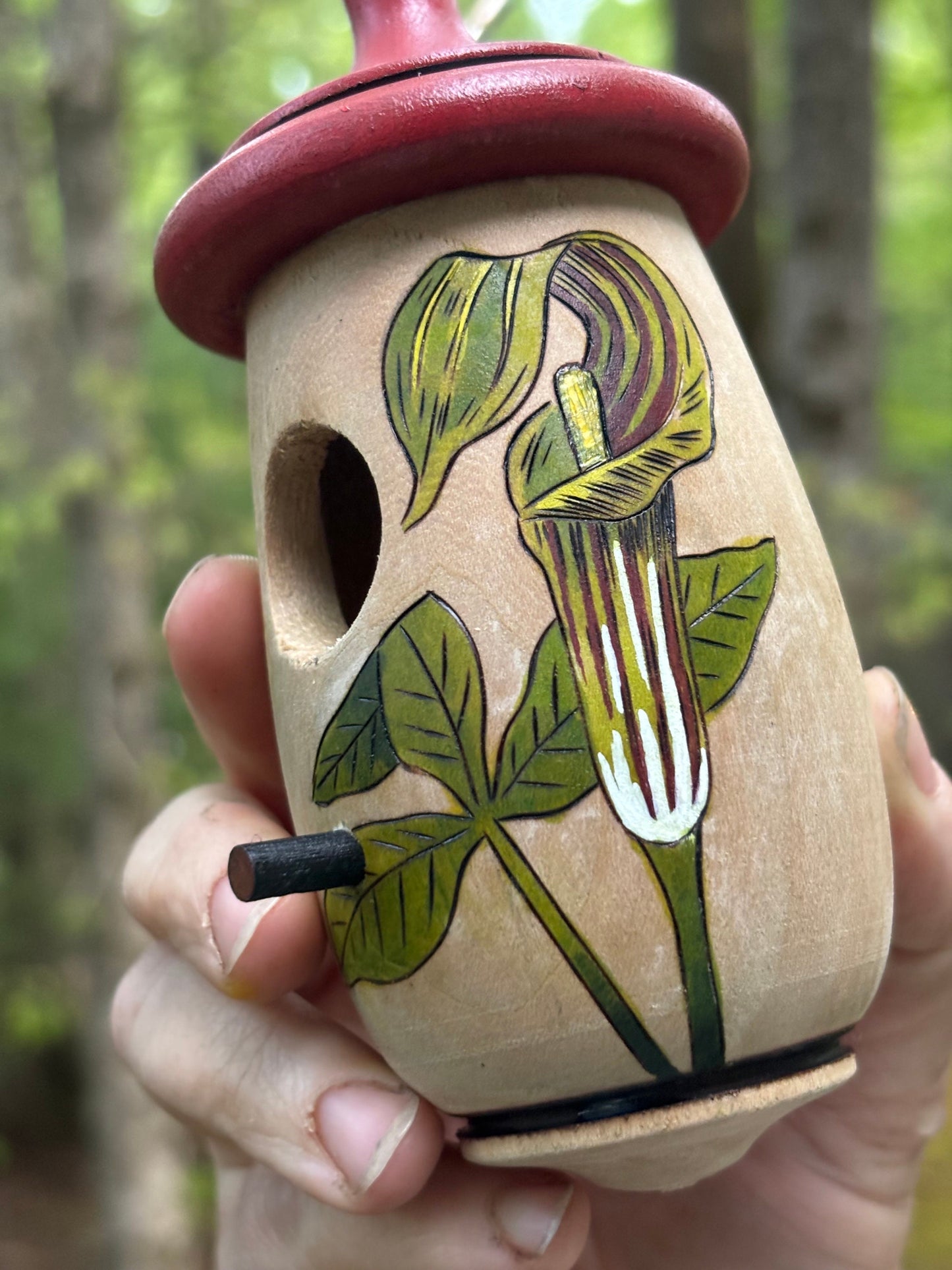 Hummingbird House, Handmade Wooden Birdhouse for Indoor/Outdoor Garden Use, Jack In The Pulpit, Native Plant, Bird Lovers Gift, wildflower