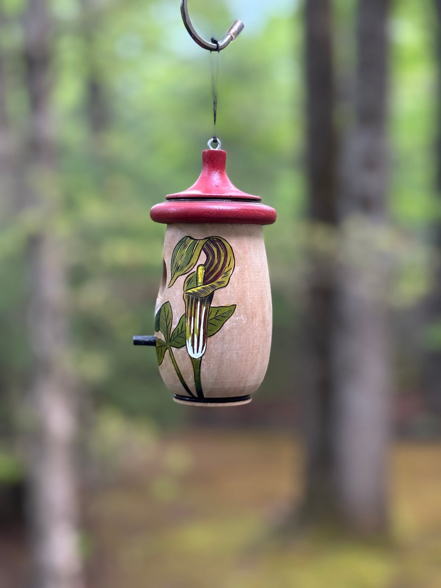 Hummingbird House, Handmade Wooden Birdhouse for Indoor/Outdoor Garden Use, Jack In The Pulpit, Native Plant, Bird Lovers Gift, wildflower