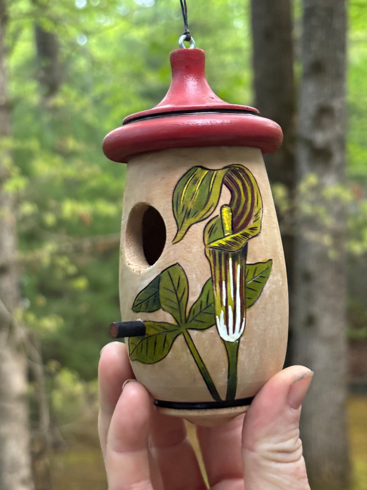 Hummingbird House, Handmade Wooden Birdhouse for Indoor/Outdoor Garden Use, Jack In The Pulpit, Native Plant, Bird Lovers Gift, wildflower