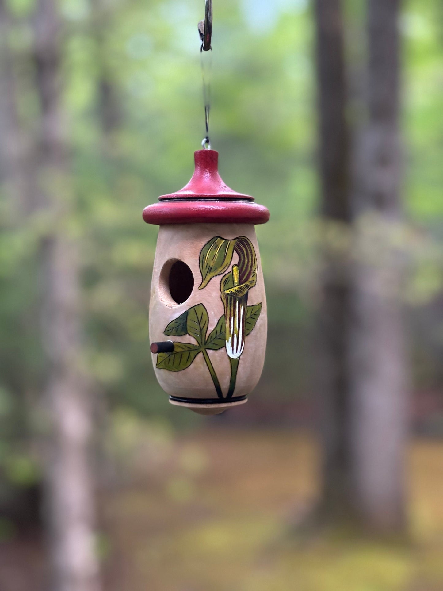 Hummingbird House, Handmade Wooden Birdhouse for Indoor/Outdoor Garden Use, Jack In The Pulpit, Native Plant, Bird Lovers Gift, wildflower