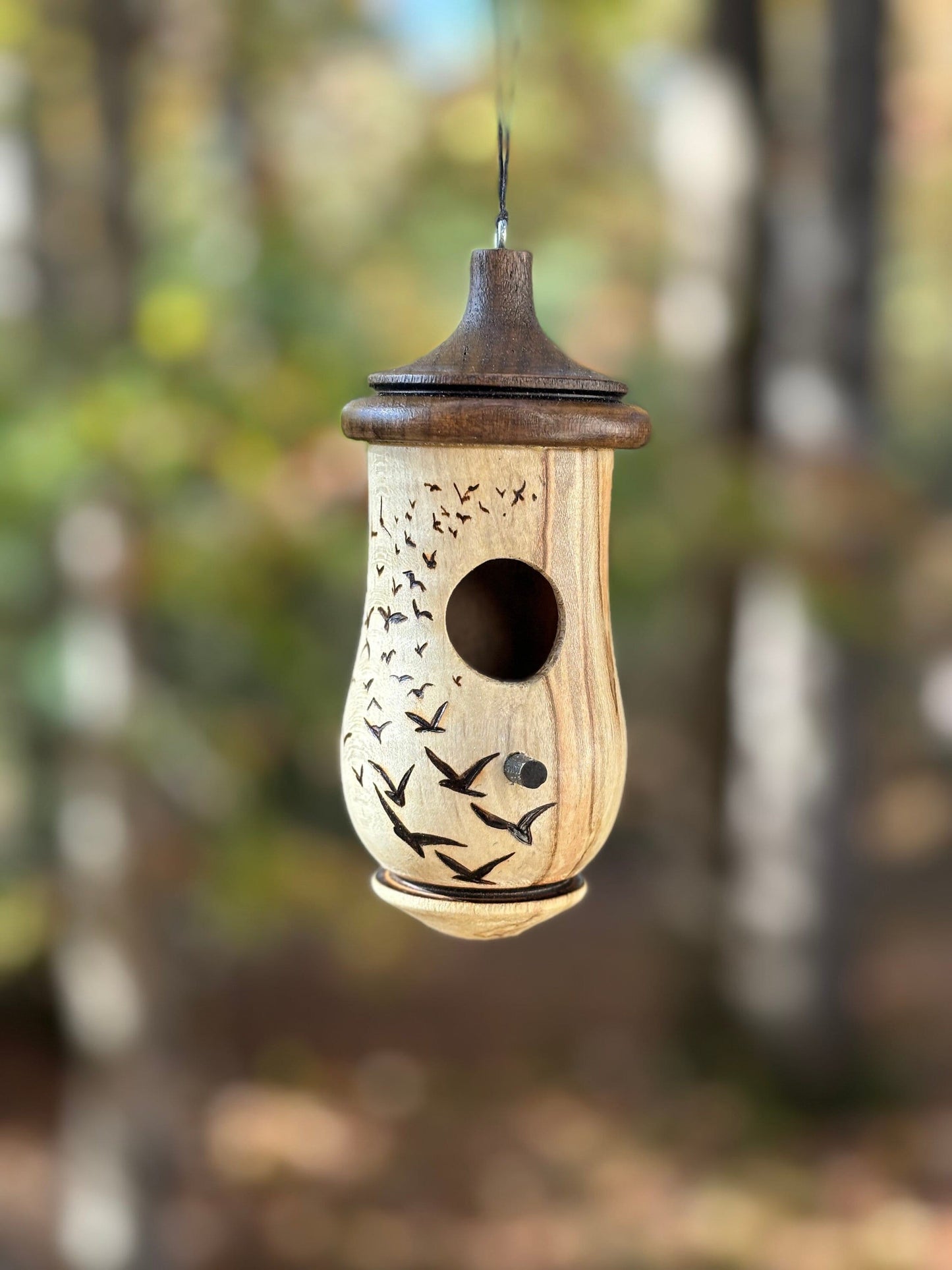 Hummingbird House, Handmade Wooden Birdhouse for Indoor/Outdoor Use, Flock of Birds Art, Bird Lovers Gift, Christmas Gift for Bird Lovers