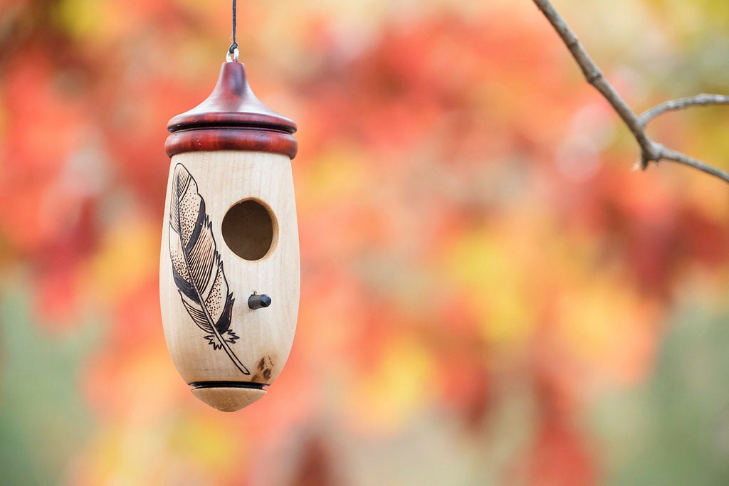 Hummingbird House, Handmade Wooden Birdhouse for Indoor/Outdoor Use, Feather Bird Art, Bird Lovers Gift, Christmas Gift for Bird Lovers