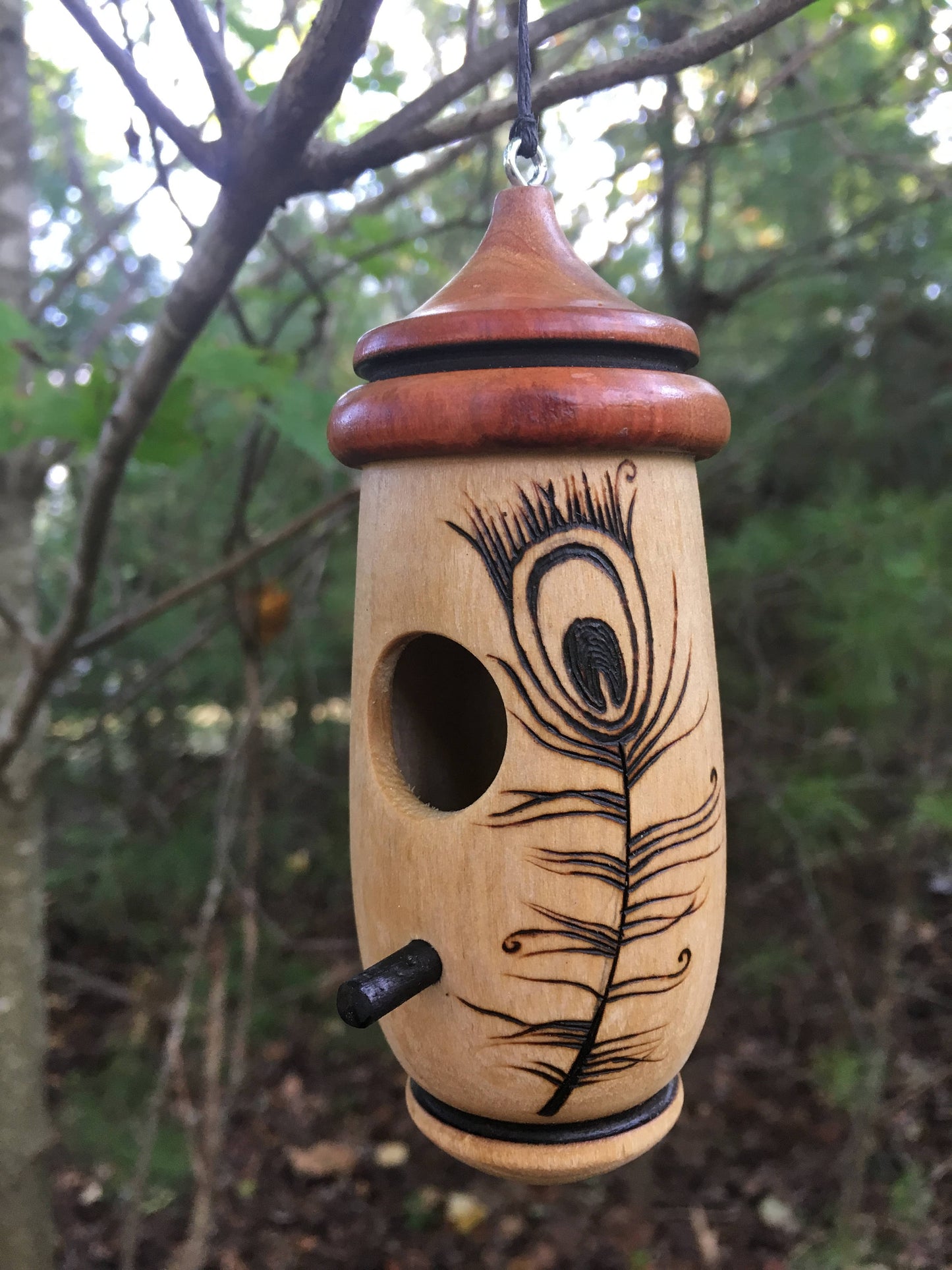 Hummingbird House, Handmade Wooden Birdhouse for Indoor/Outdoor Use, Peacock Art, Bird Lovers Gift, Christmas Gift for Teacher