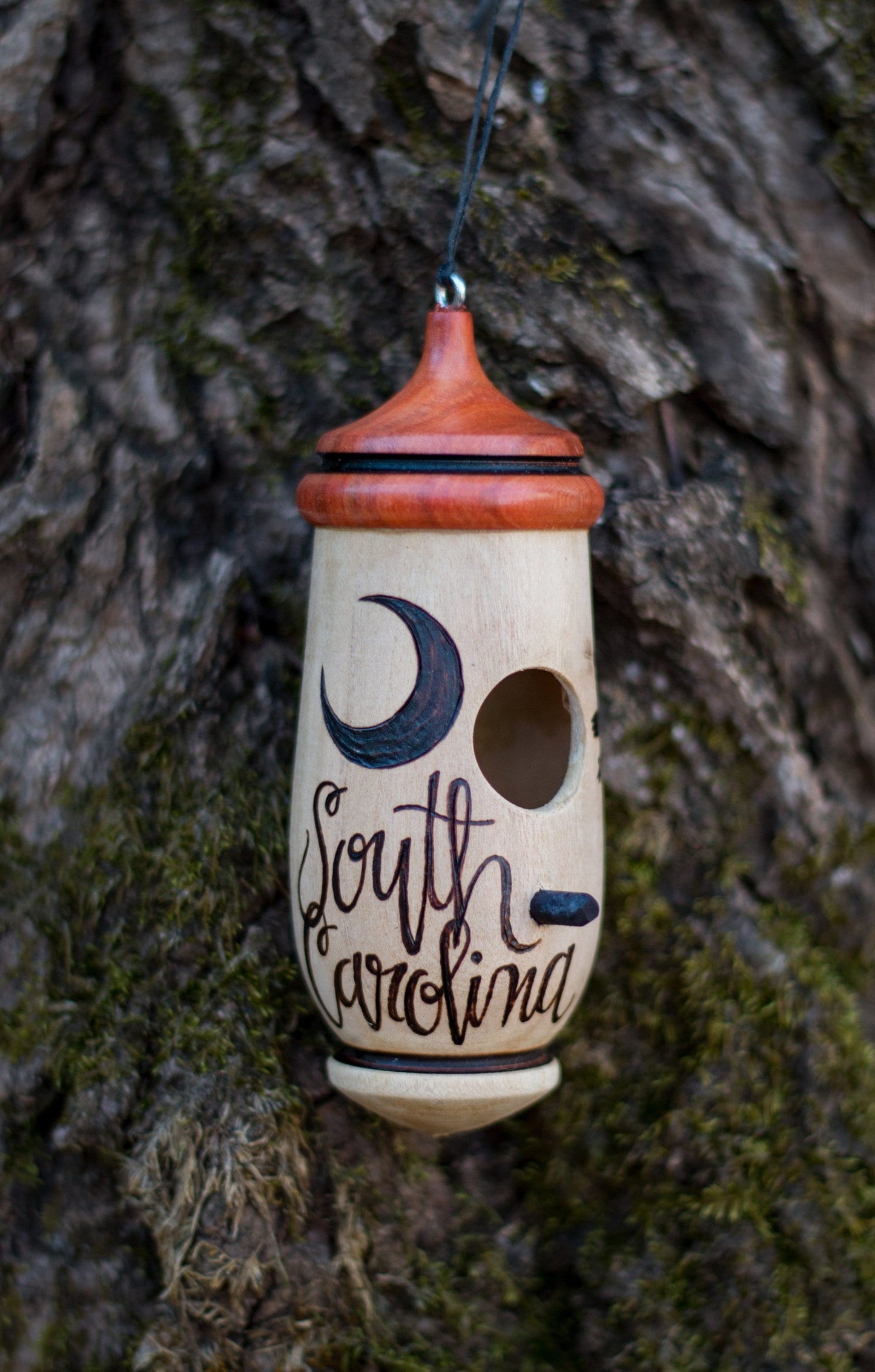 South Carolina Hummingbird House, Handmade Wooden Birdhouse for Indoor/Outdoor Use, Palmetto Art, Bird Lovers Gift, Christmas Gift