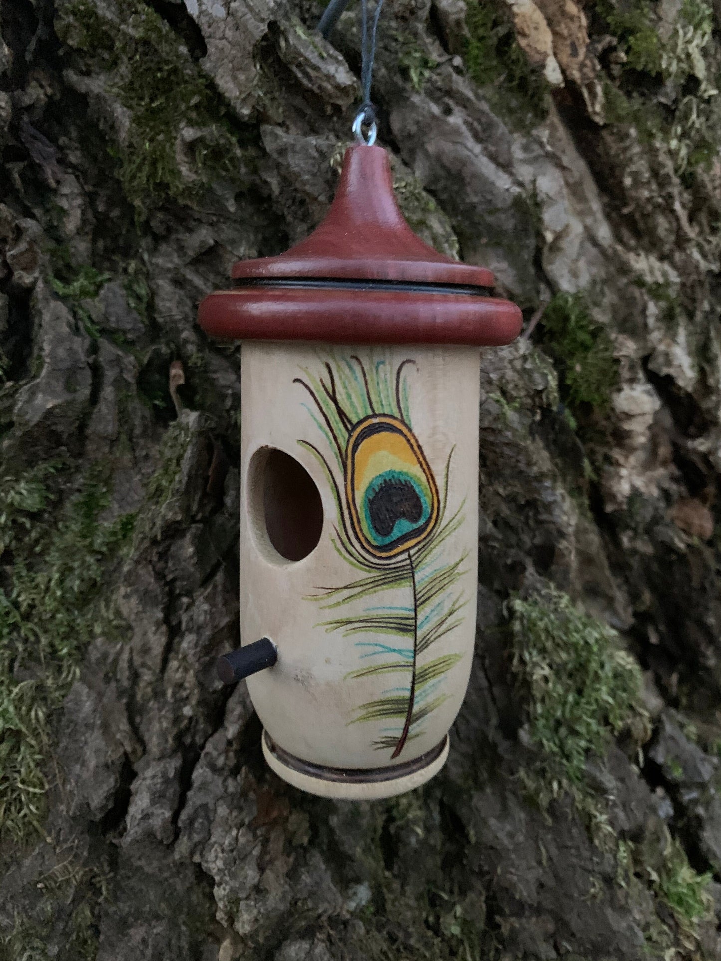 Hummingbird House, Handmade Wooden Birdhouse for Indoor/Outdoor Use, Peacock Art, Bird Lovers Gift, Christmas Gift for Teacher