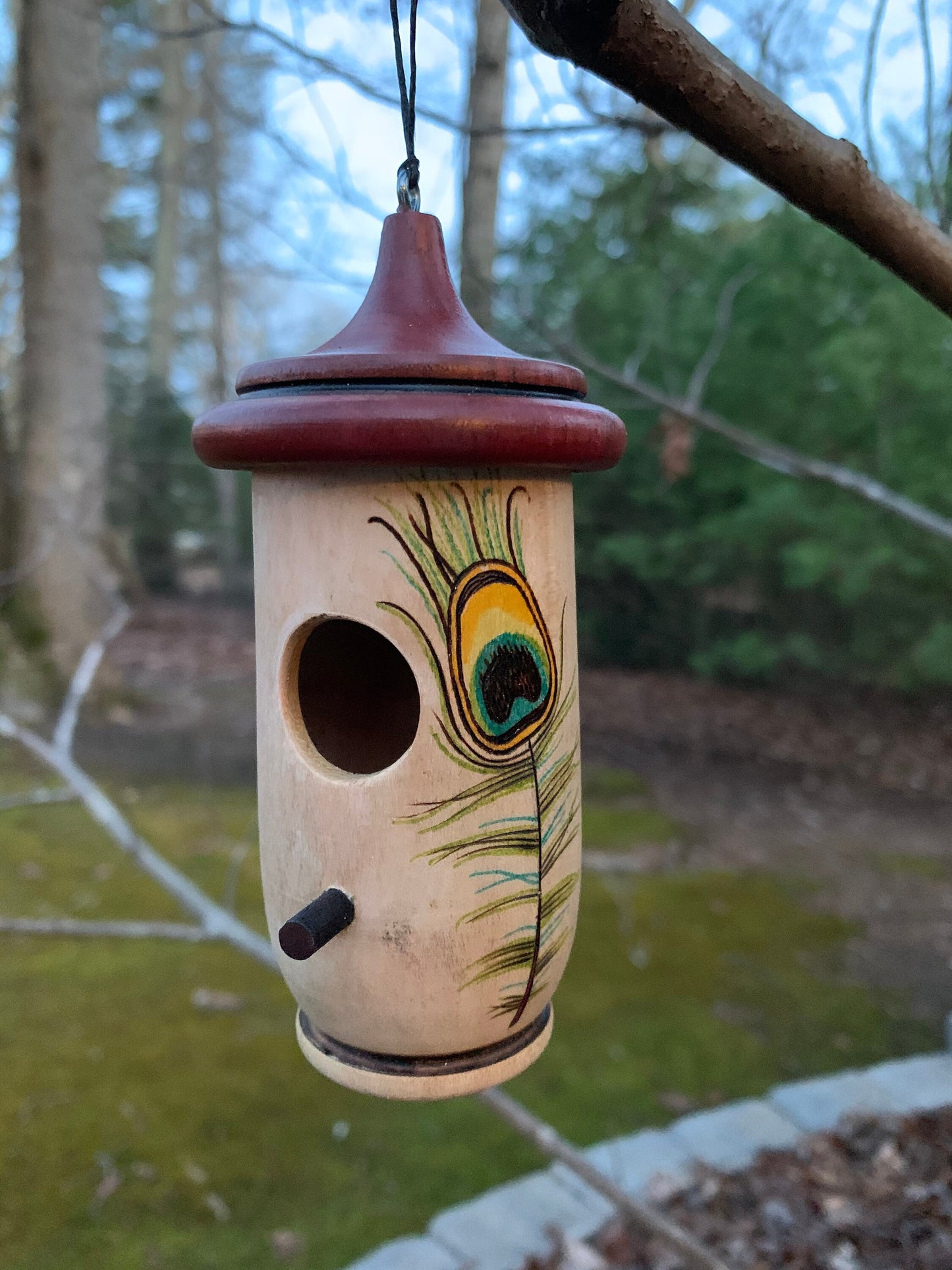 Hummingbird House, Handmade Wooden Birdhouse for Indoor/Outdoor Use, Peacock Art, Bird Lovers Gift, Christmas Gift for Teacher