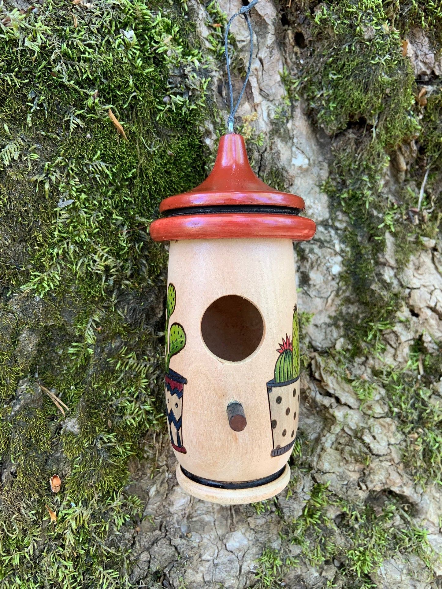 Hummingbird House, Handmade Wooden Birdhouse for Indoor/Outdoor Use, Succulent Art, Bird Lovers Gift, Christmas Gift for Plant Lovers