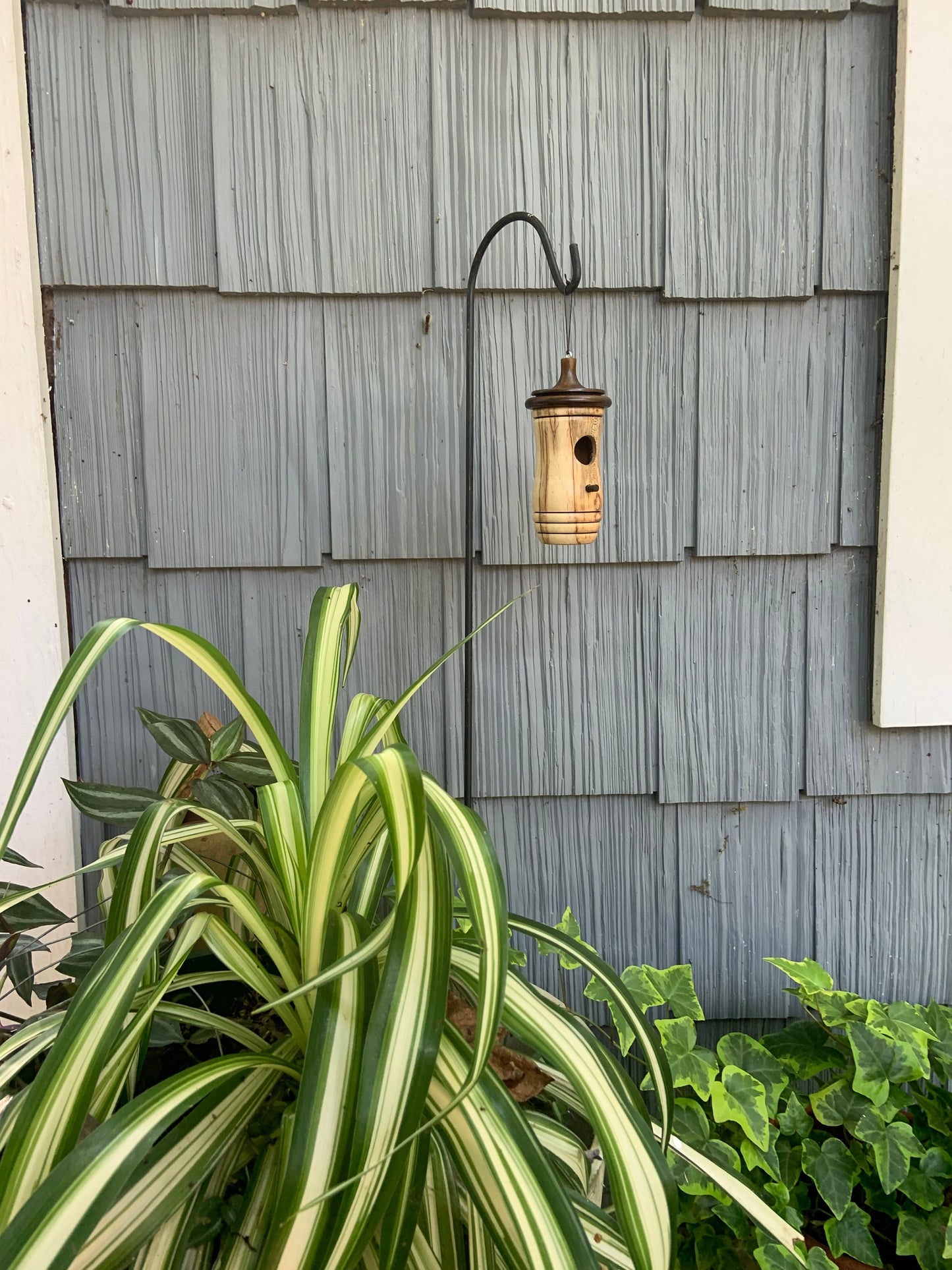 Ambrosia Maple Hummingbird Birdhouse, Rustic Garden Indoor Outdoor Decor, Gift for Bird Lovers Fathers Day, OOAK