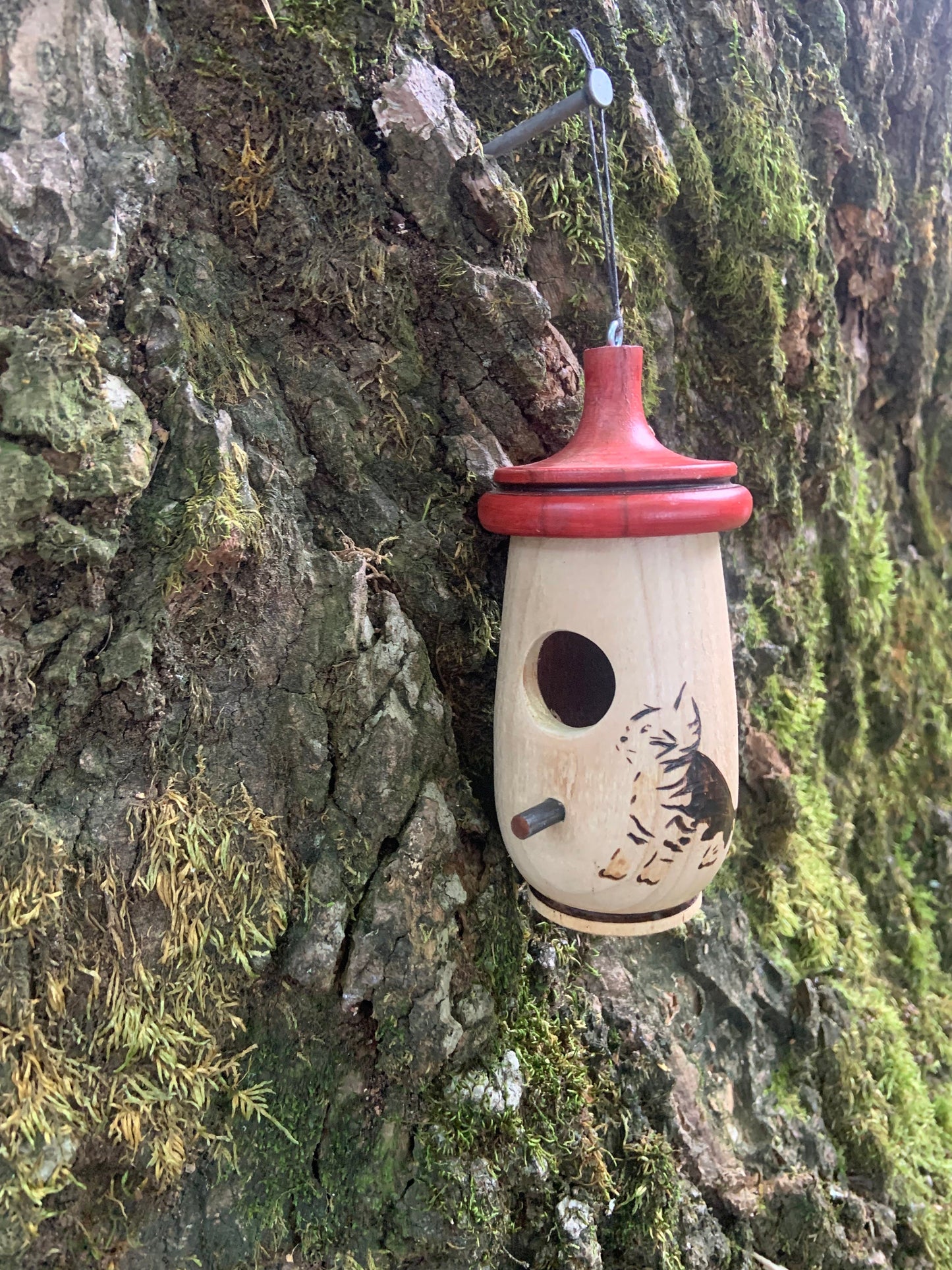 Hummingbird House, Tabby Cat Kitten Art, Handmade Wooden Birdhouse for Indoor/Outdoor Use, Bird Lovers Gift, Christmas Gift for Cat Lovers