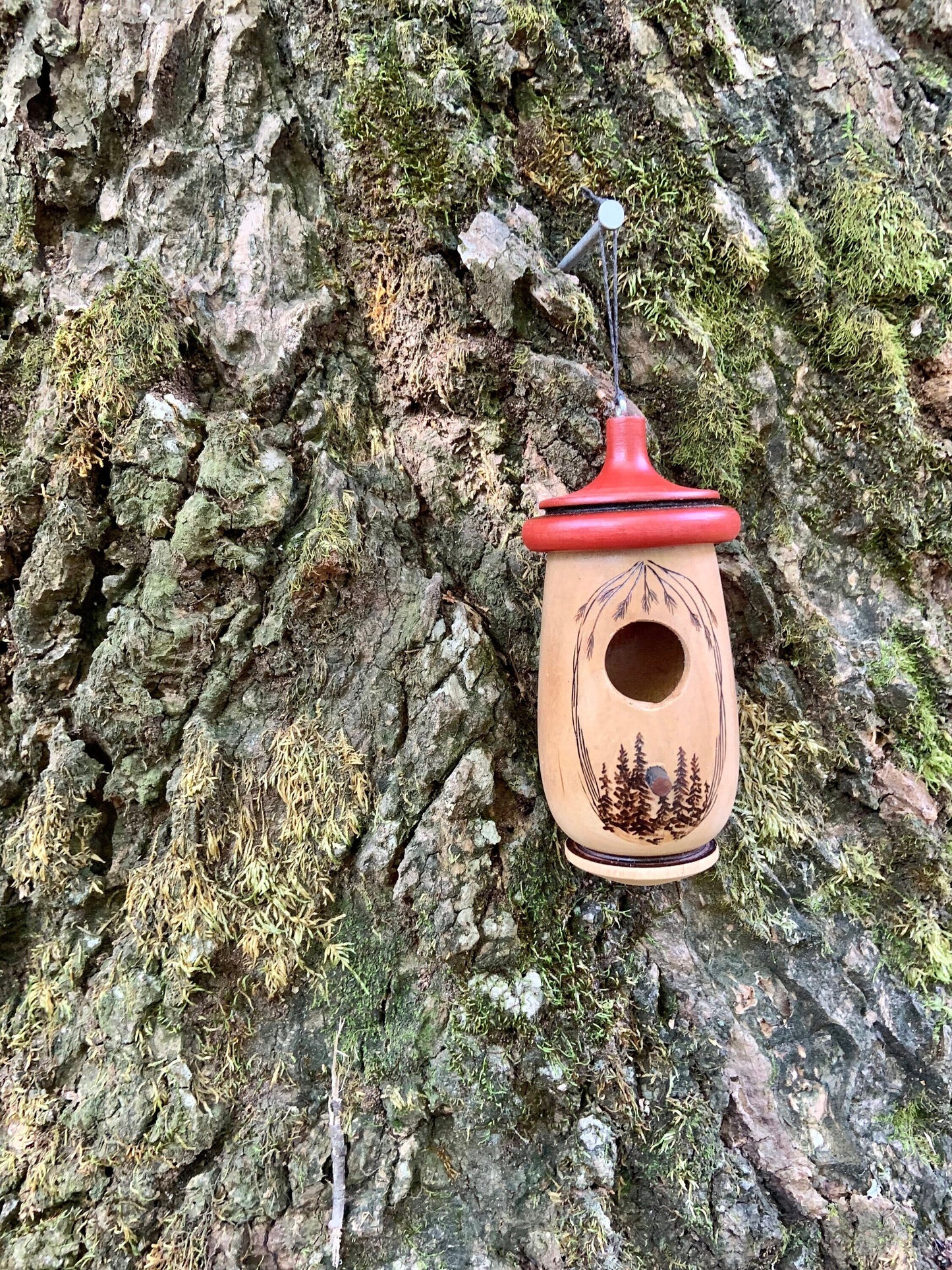 Hummingbird House, Handmade Wooden Birdhouse, Forest Tree Art, Bird Lovers Gift, Personalizable Christmas Gift for Nature Lovers