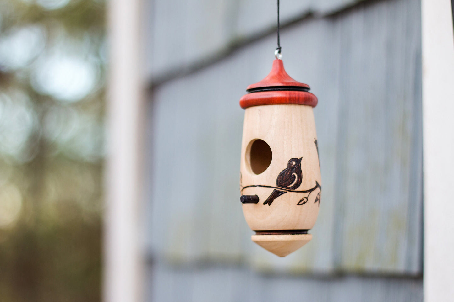 Hummingbird House, Bird on Branch, Handmade Wooden Birdhouse, Bird Art, Bird Lovers Gift, Anytime Gift for Bird Lovers