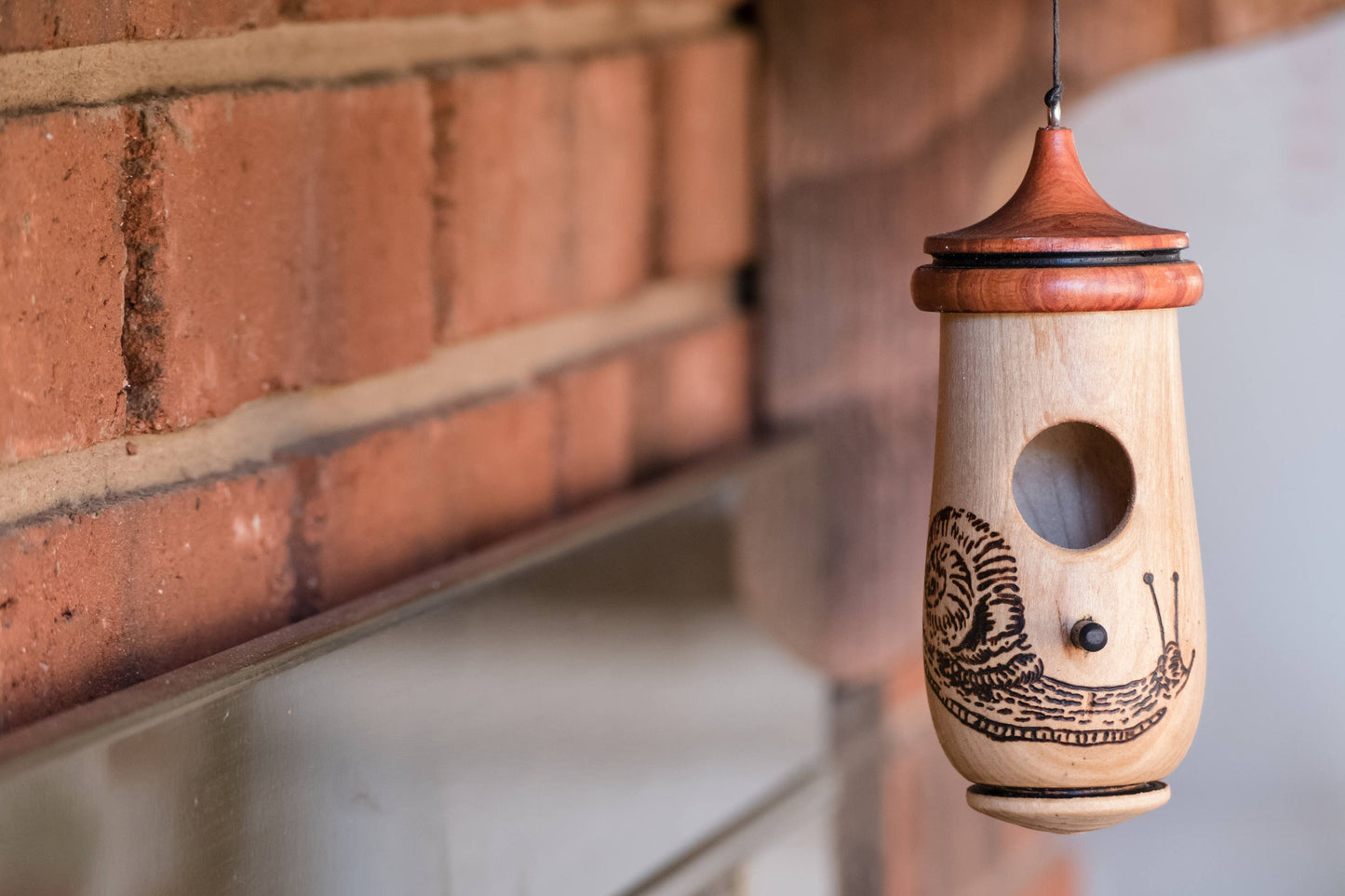 Hummingbird House, Handmade Wooden Birdhouse for Indoor/Outdoor Use, Snail Art, Bird Lovers Gift, Christmas Gift for Teachers