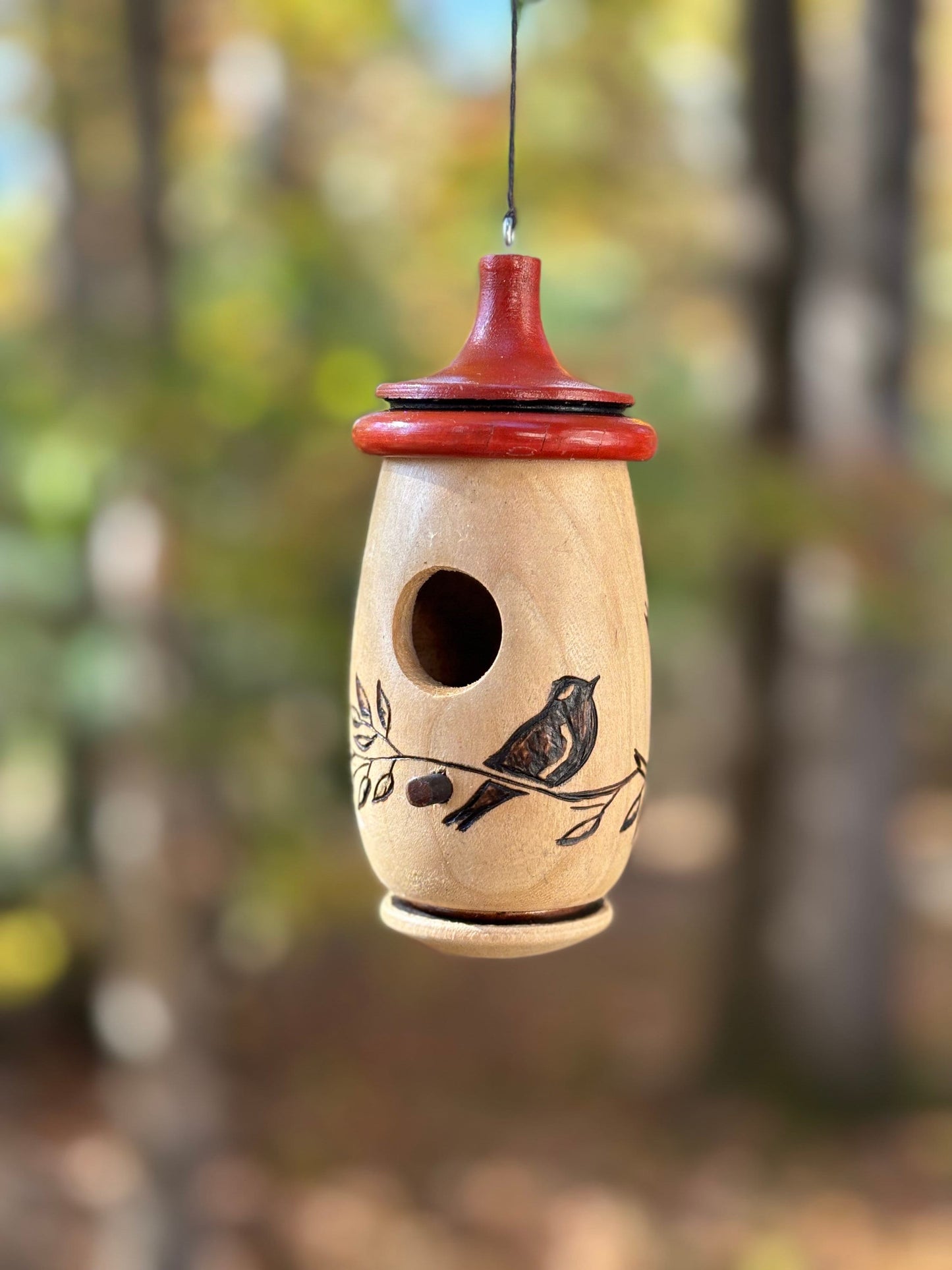 Hummingbird House, Bird on Branch, Handmade Wooden Birdhouse, Bird Art, Bird Lovers Gift, Anytime Gift for Bird Lovers