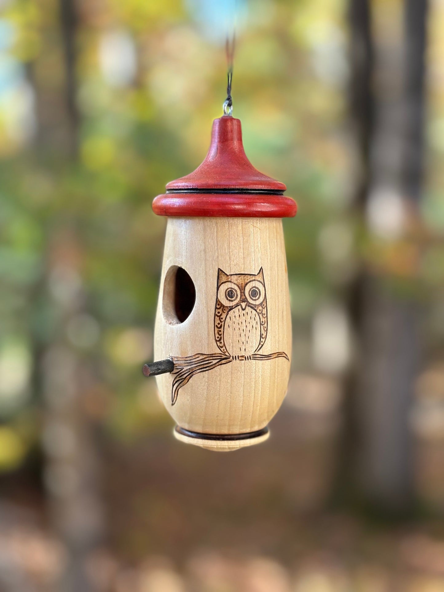 Hummingbird House, Handmade Wooden Birdhouse for Indoor/Outdoor Use, Owl Art, Bird Lovers Gift, Christmas Gift for Bird Watchers