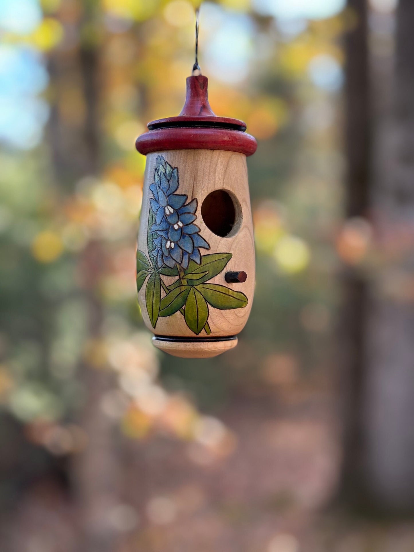 Bluebonnet Texas State Flower, Hummingbird House, Handmade Wooden Birdhouse for Indoor/Outdoor Use, Bird Lovers Gift, Christmas Gift