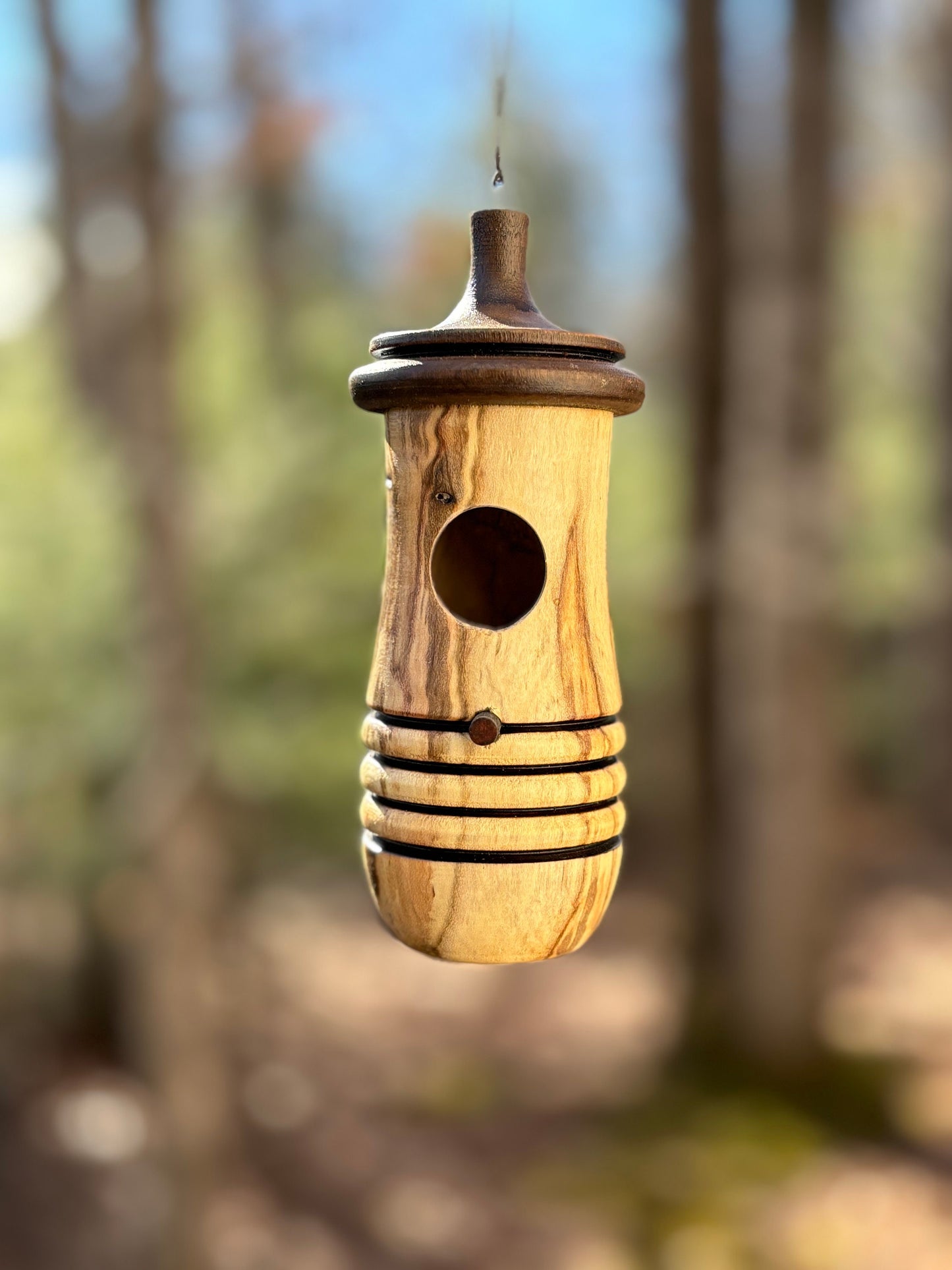 Ambrosia Maple Hummingbird Birdhouse, Rustic Garden Indoor Outdoor Decor, Gift for Bird Lovers Spring Gift, OOAK