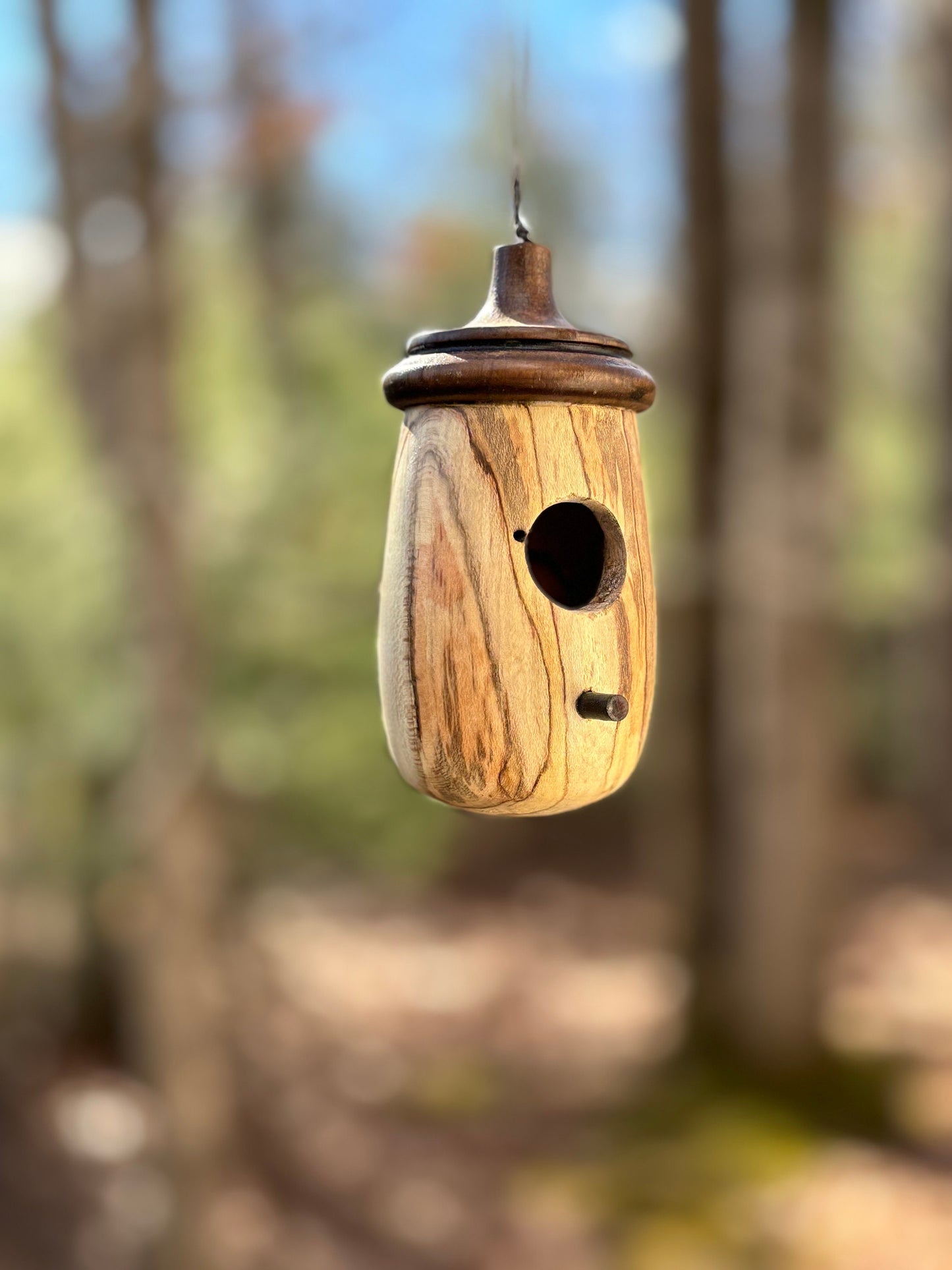 Handmade Mini Ambrosia Maple Hummingbird Birdhouse, Hummingbird House for bird lovers OOAK, Mother's Day Gift