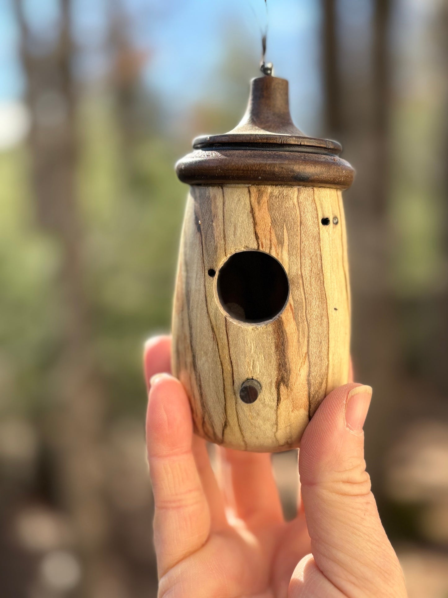 Handmade Mini Ambrosia Maple Hummingbird Birdhouse, Hummingbird House for bird lovers OOAK, Mother's Day Gift