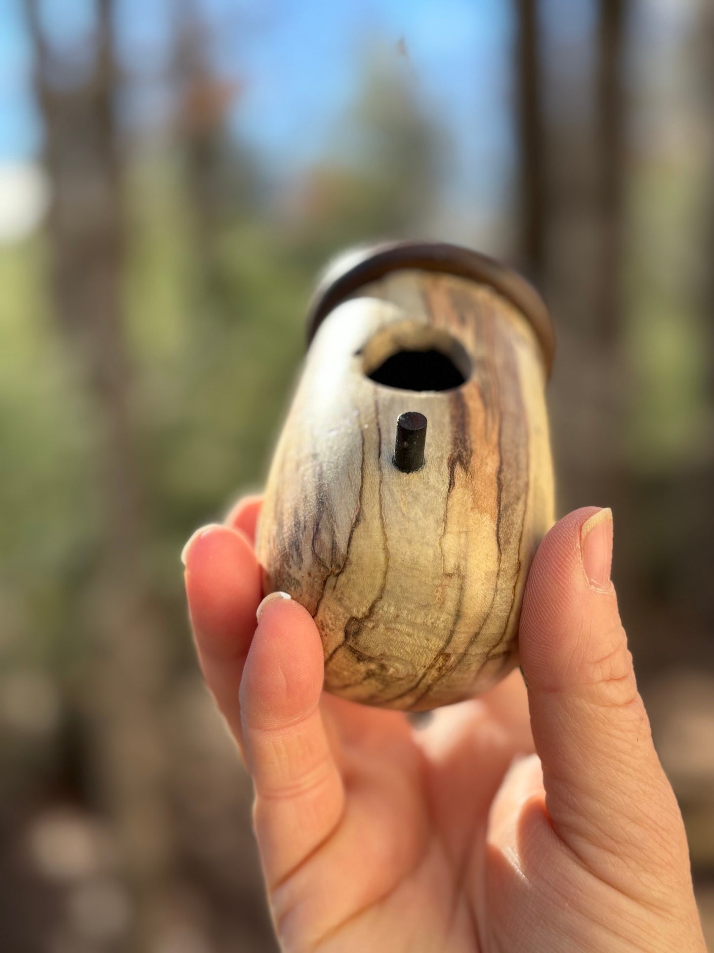 Handmade Mini Ambrosia Maple Hummingbird Birdhouse, Hummingbird House for bird lovers OOAK, Mother's Day Gift