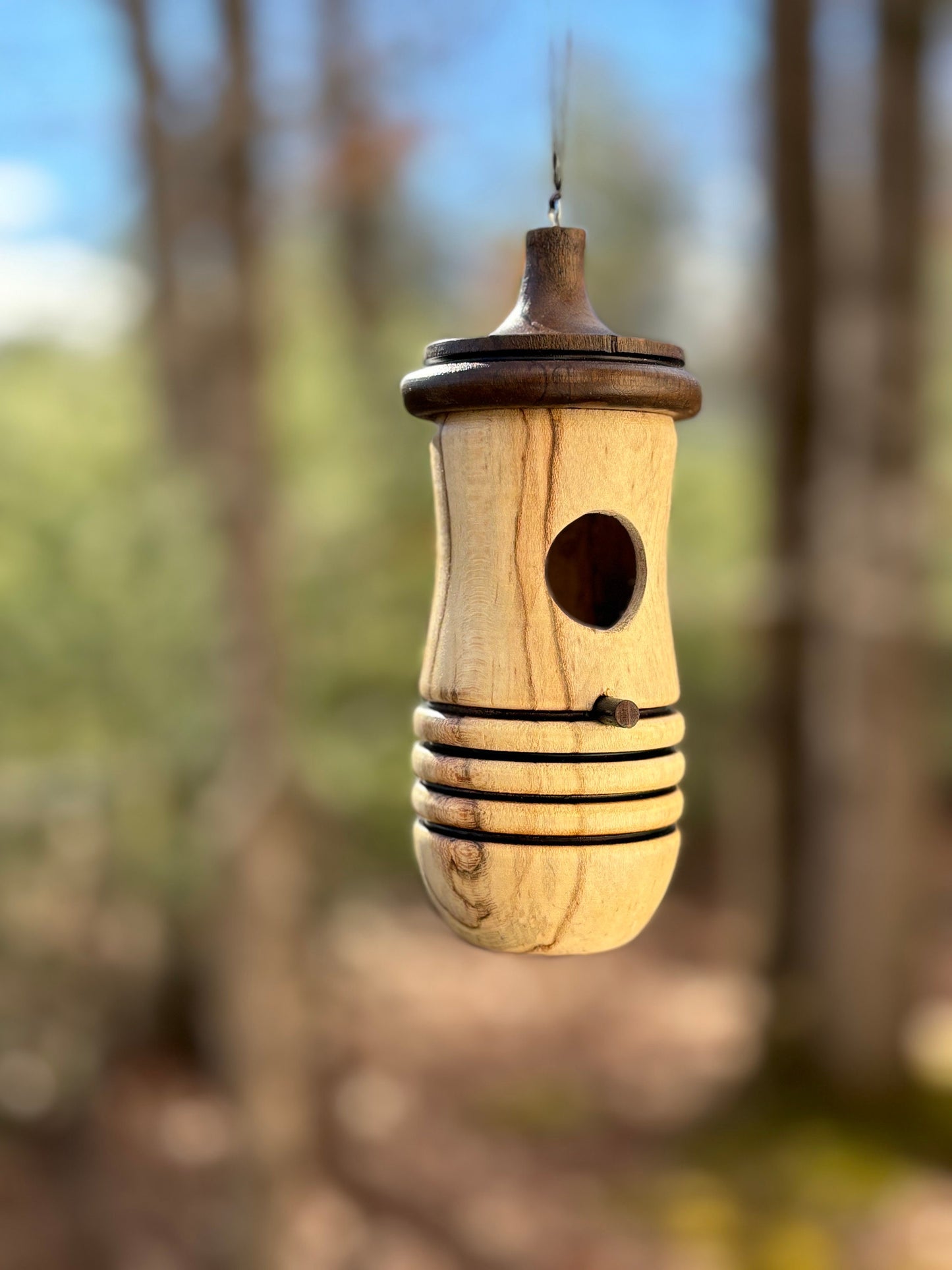 Ambrosia Maple Hummingbird Birdhouse, Rustic Garden Indoor Outdoor Decor, Gift for Bird Lovers Fathers Day, OOAK