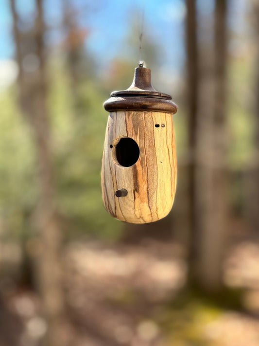 Handmade Mini Ambrosia Maple Hummingbird Birdhouse, Hummingbird House for bird lovers OOAK, Mother's Day Gift