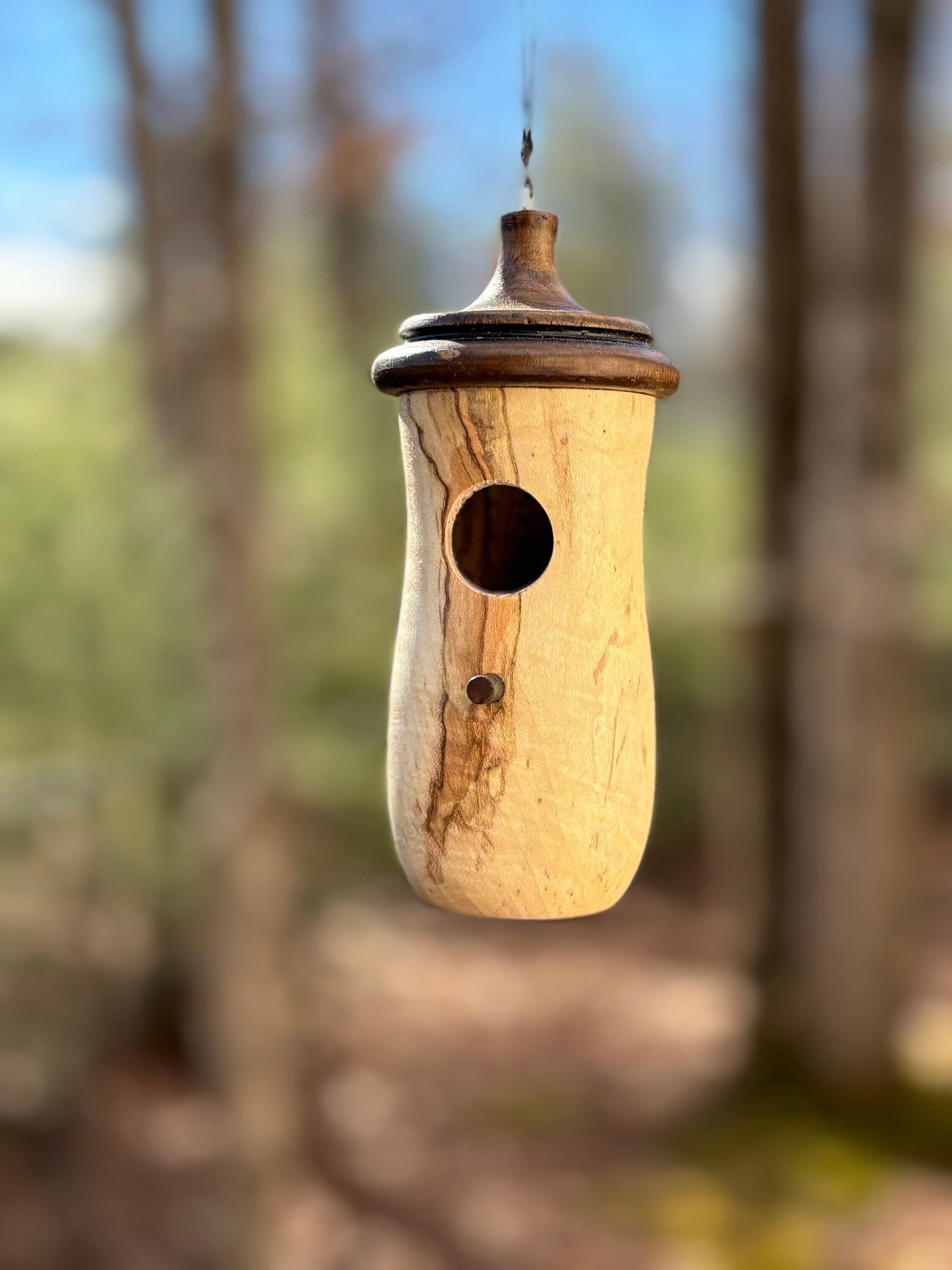 Natural Ambrosia Maple Hummingbird Birdhouse OOAK